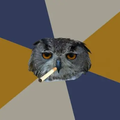 Art Student Owl meme template
