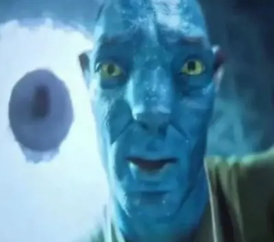 Avatar guy meme template