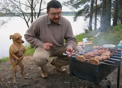 Bbq dog template waiting, food, man meme template
