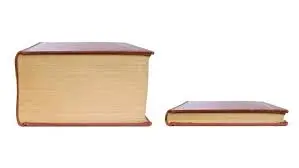 Big book small book meme template