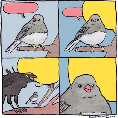 Bird yelling at bird meme template