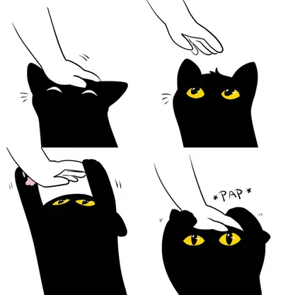 Black cat pap meme template