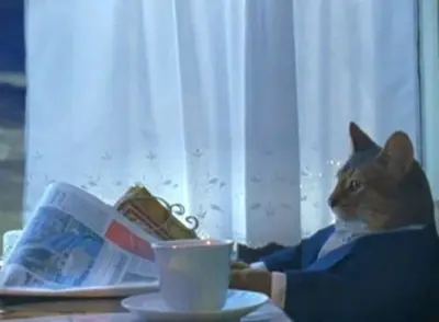 Cat in a suit meme template