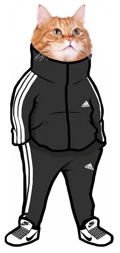 Cat in tracksuit meme template