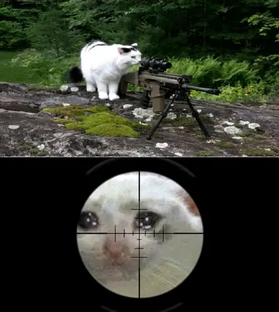 Cat sniper scope meme template
