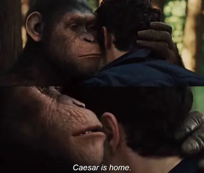 Cesar is home meme template