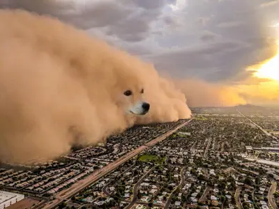 Cheems dust storm city meme template
