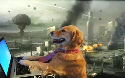 Dog computer explosion meme template