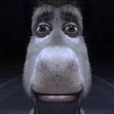 Donkey Shrek (Cooked) meme template