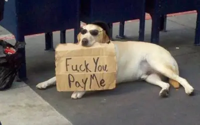 Fuck you, pay me meme template