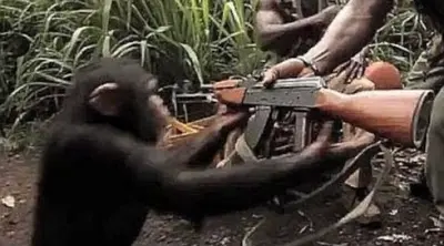 Giving a monkey a gun meme template