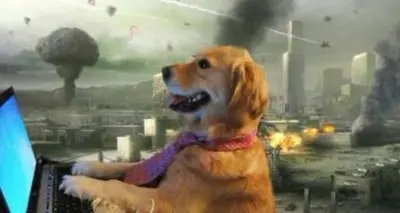 Good boy employee meme template