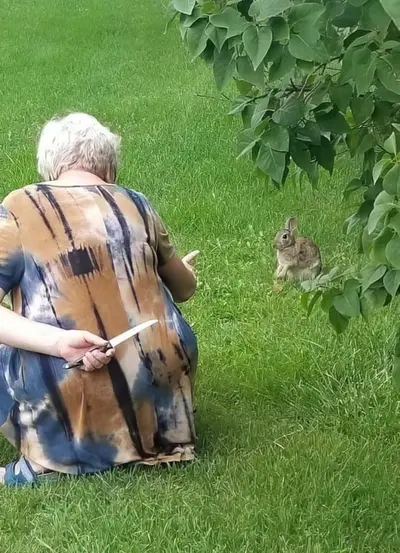 Grandma hiding knife from rabbit meme template