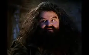 hagrid yer a wizard meme template