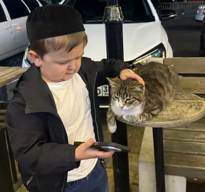 Hasbulla with kitty cat meme template
