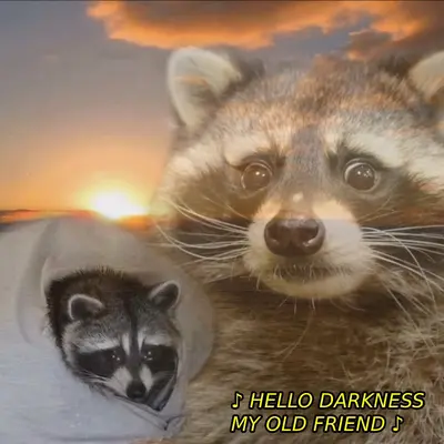 Hello darkness raccoon meme template
