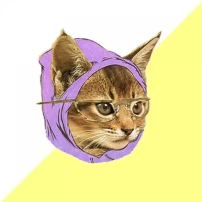 Hipster Kitty meme template