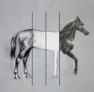 Horse realistic draw sketch horse v2 meme template