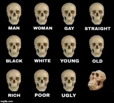 idiot skull meme template