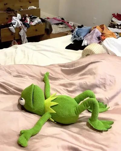 Kermit lying on bed meme template
