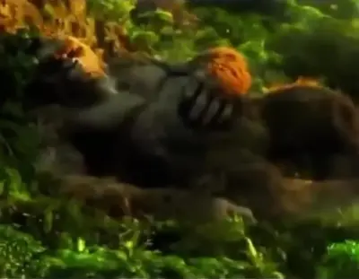 King Kong morning routine meme template