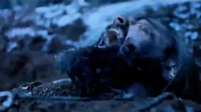 Leo DiCaprio crawling meme template
