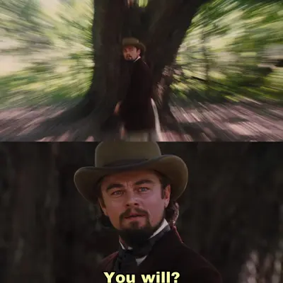 Leonardo DiCaprio you will meme template