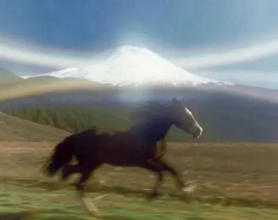 Majestic horse meme template