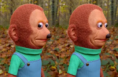 Monkey puppet look singe regarde yeux meme template