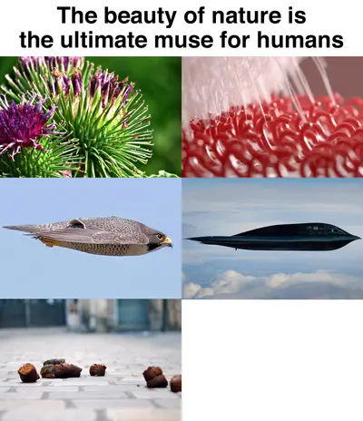Nature inspired design comparison meme template