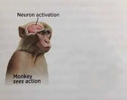 Neuron activation meme template