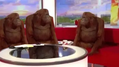 orangutan interview meme template