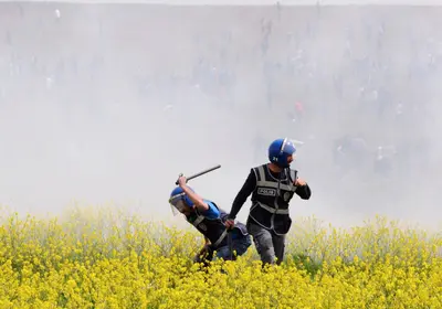 Police beating flowers meme template