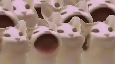 Pop cat meme template