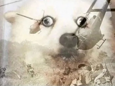 PTSD dog flashback meme template