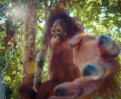 Return to monkey v2 singe meme template