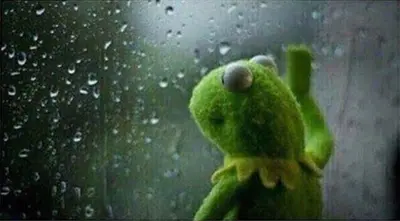 Sad Kermit in the rain meme template