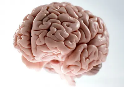 Scumbag Brain meme template