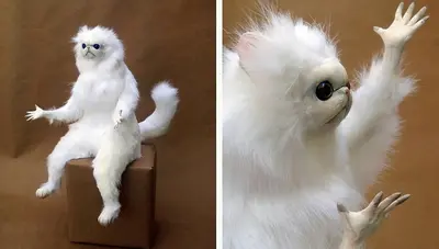 Shocked white cat meme template