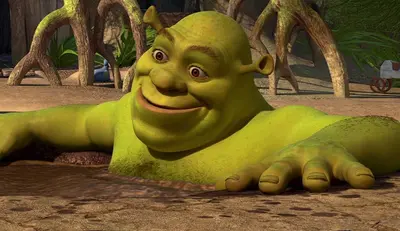Shrek lying down smiling meme template