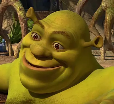 Shrek smiling in mud meme template