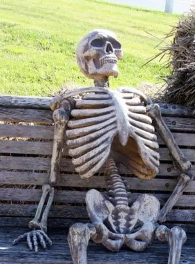 Skelton waiting on bench meme template