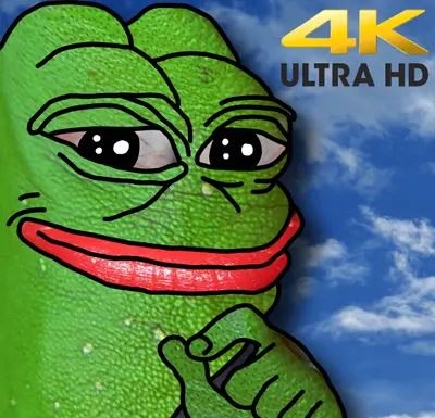 Smug Pepe the Frog meme template