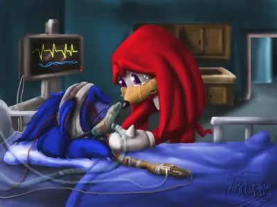 Sonic please... sonic dying meme template