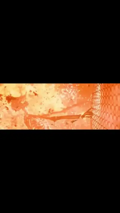 Terminator Skeleton on Fire Scene meme template