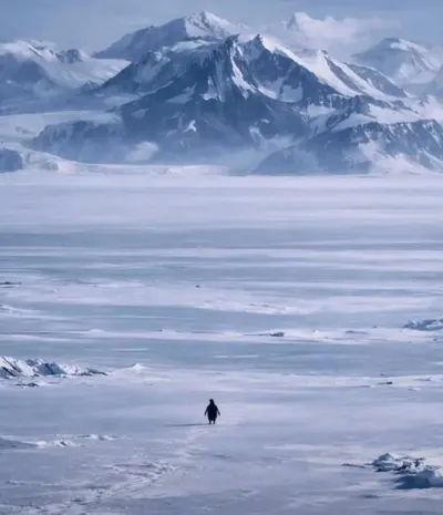 The Penguin Running Towards Mountains meme template