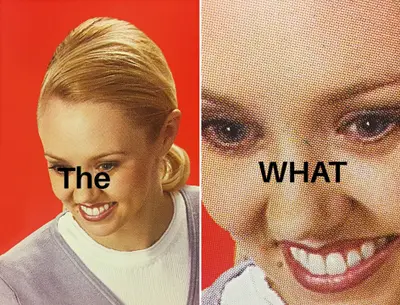 The what meme template