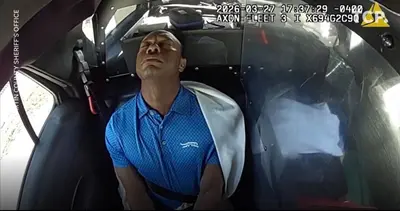 Tiger Woods Back of Cop Car meme template
