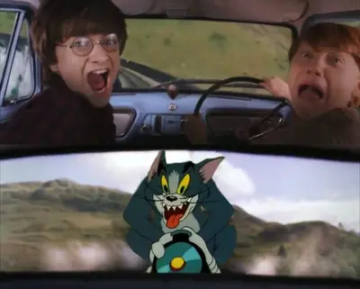 Tom chasing Harry and Ron Weasly meme template