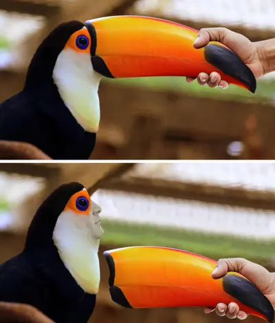 Toucan broken beak meme template